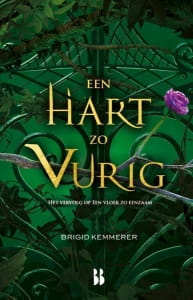 2 Een hart zo vurig - Brigid Kemmerer min